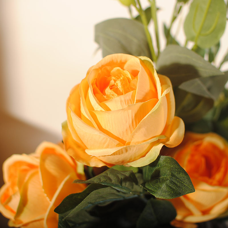 雍容牡丹桔梗插花藝術(shù)，富貴牡丹新中式花藝