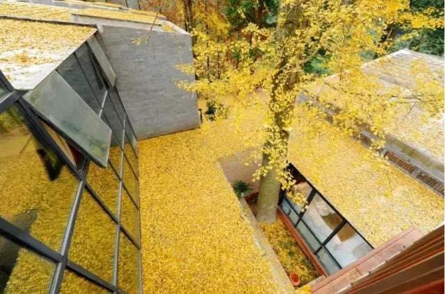 上山上去生活吧，上山上迎你還家！