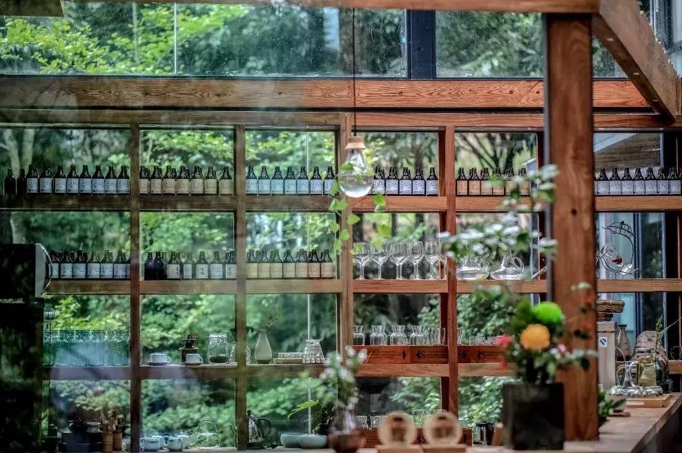 上山上去生活吧，上山上迎你還家！