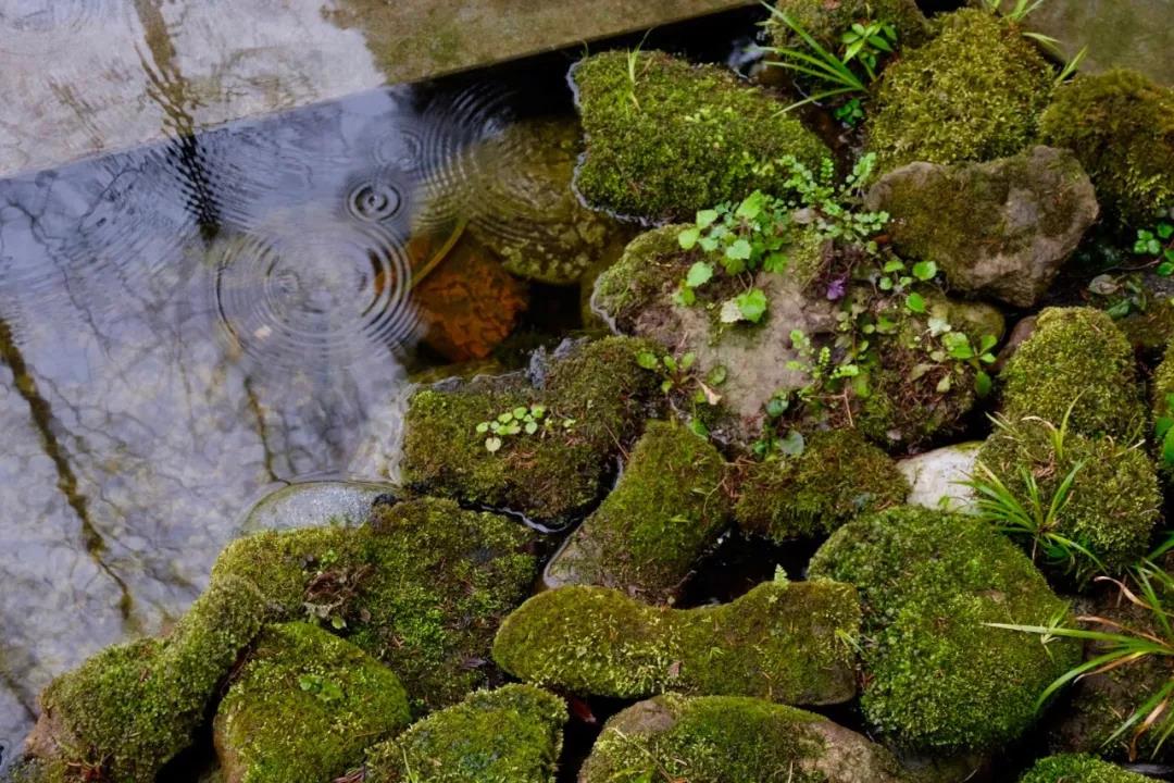 上山上去生活吧，上山上迎你還家！