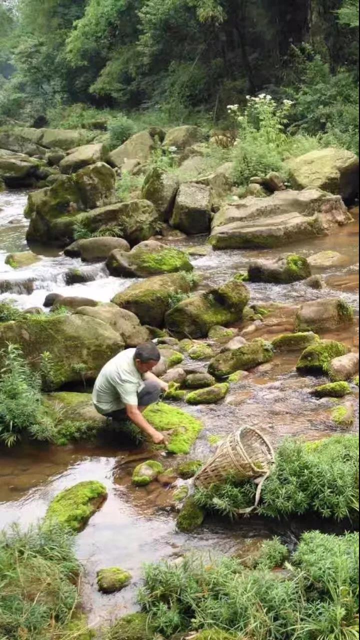 上山上去生活吧，上山上迎你還家！