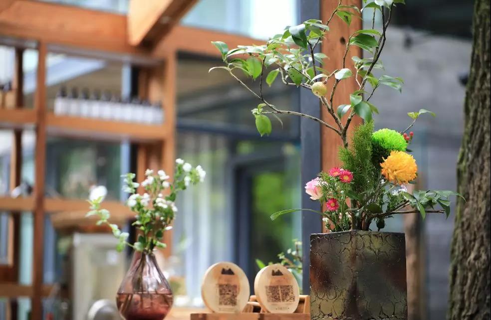 上山上去生活吧，上山上迎你還家！