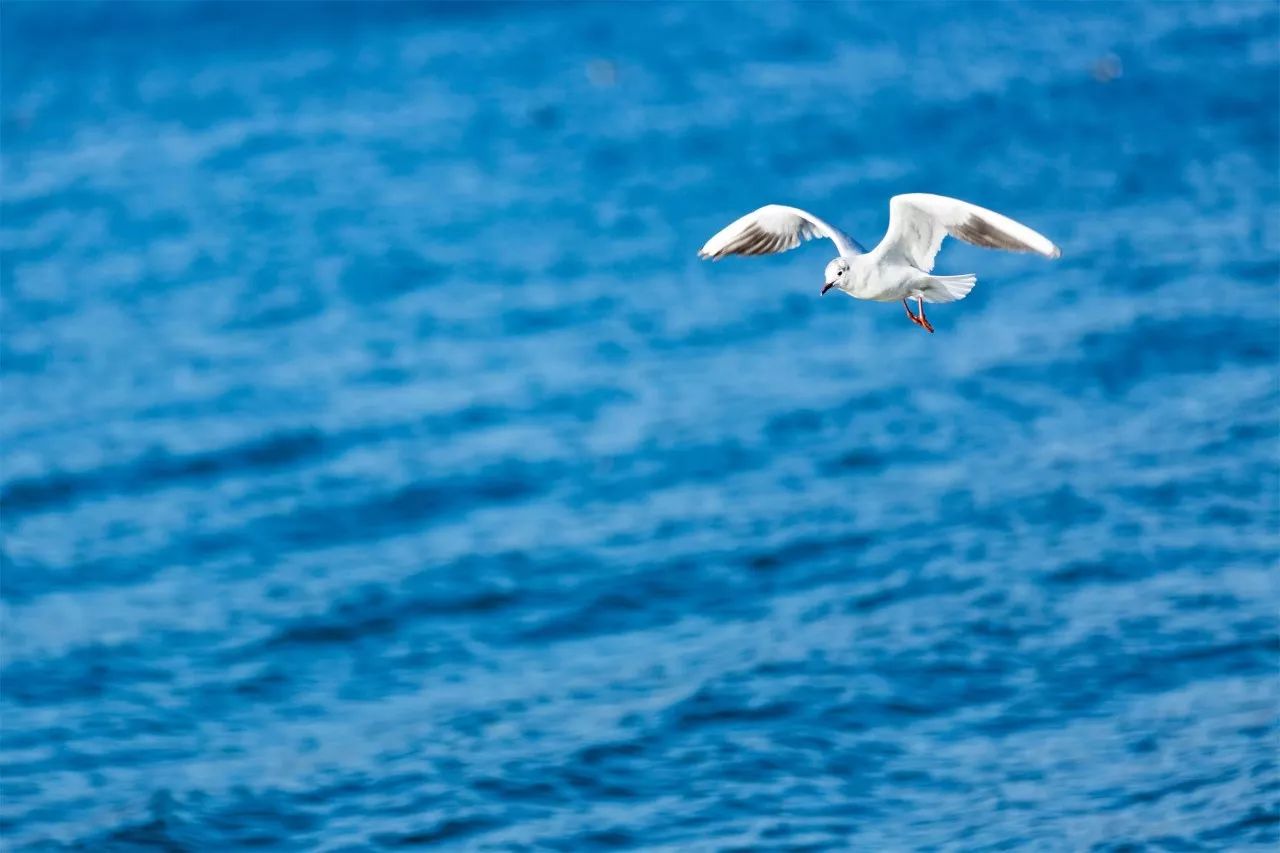 璞山云美·女兒國酒店，瀘沽湖的一場旅行！