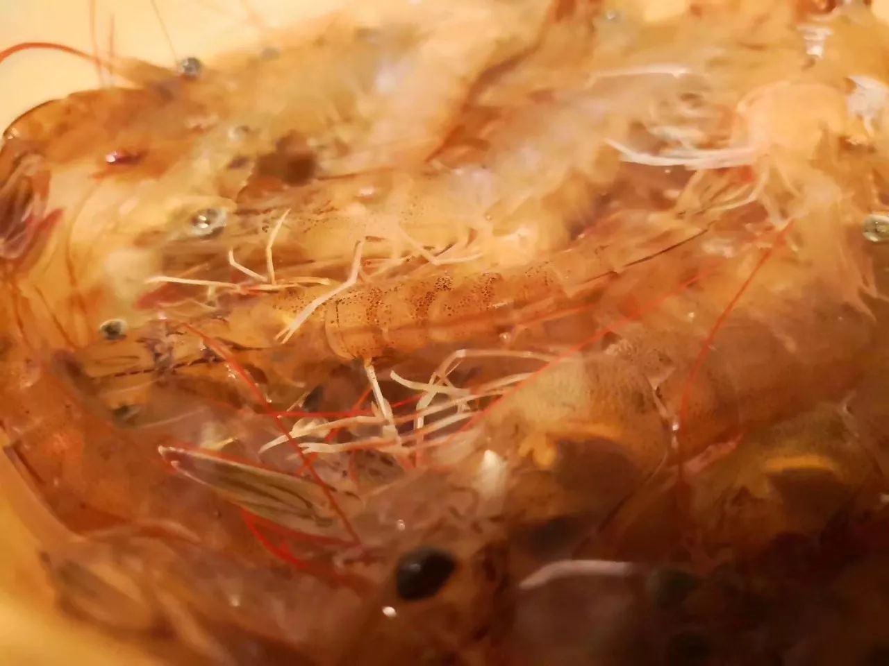 璞山云美·女兒國酒店，瀘沽湖的一場旅行！