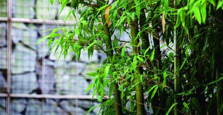 中香界·上海別院，萬(wàn)水千山總是情！