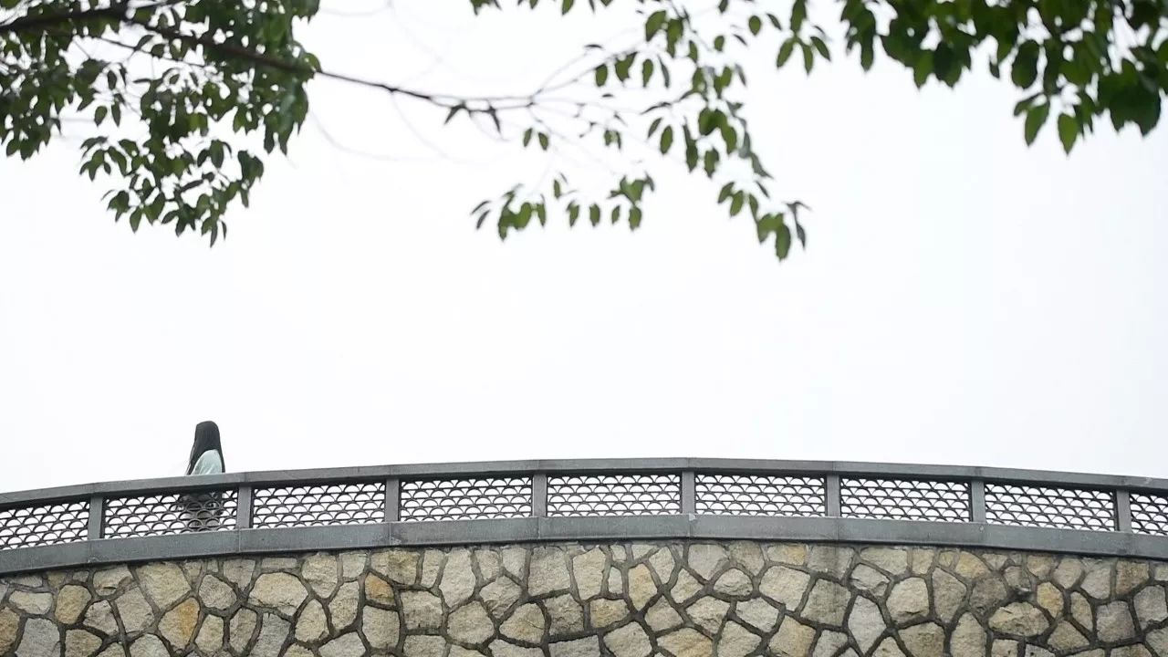 中香界·上海別院，萬水千山總是情！