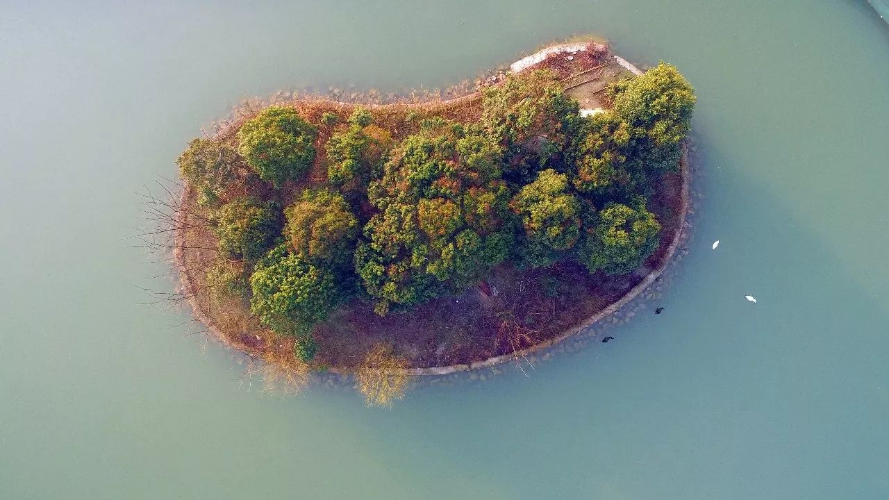 中香界·上海別院，萬水千山總是情！