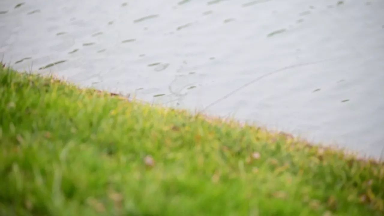 中香界·上海別院，萬水千山總是情！