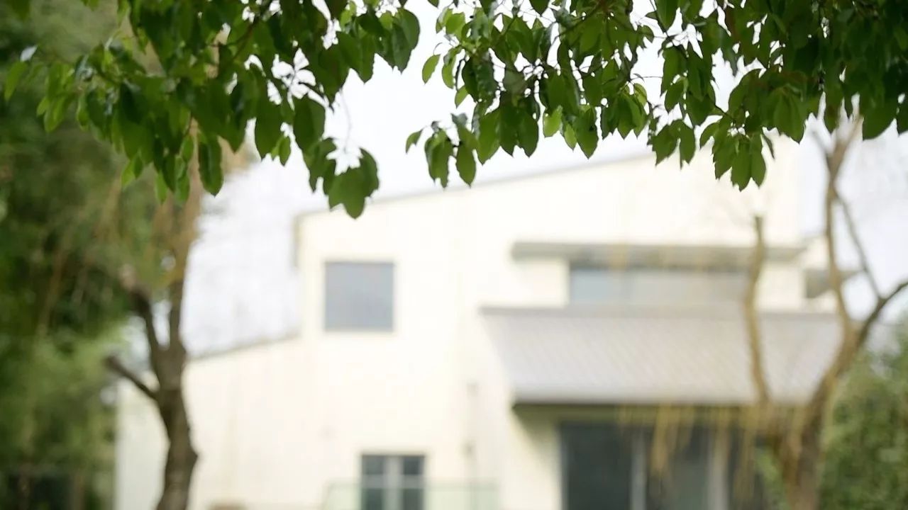 中香界·上海別院，萬水千山總是情！