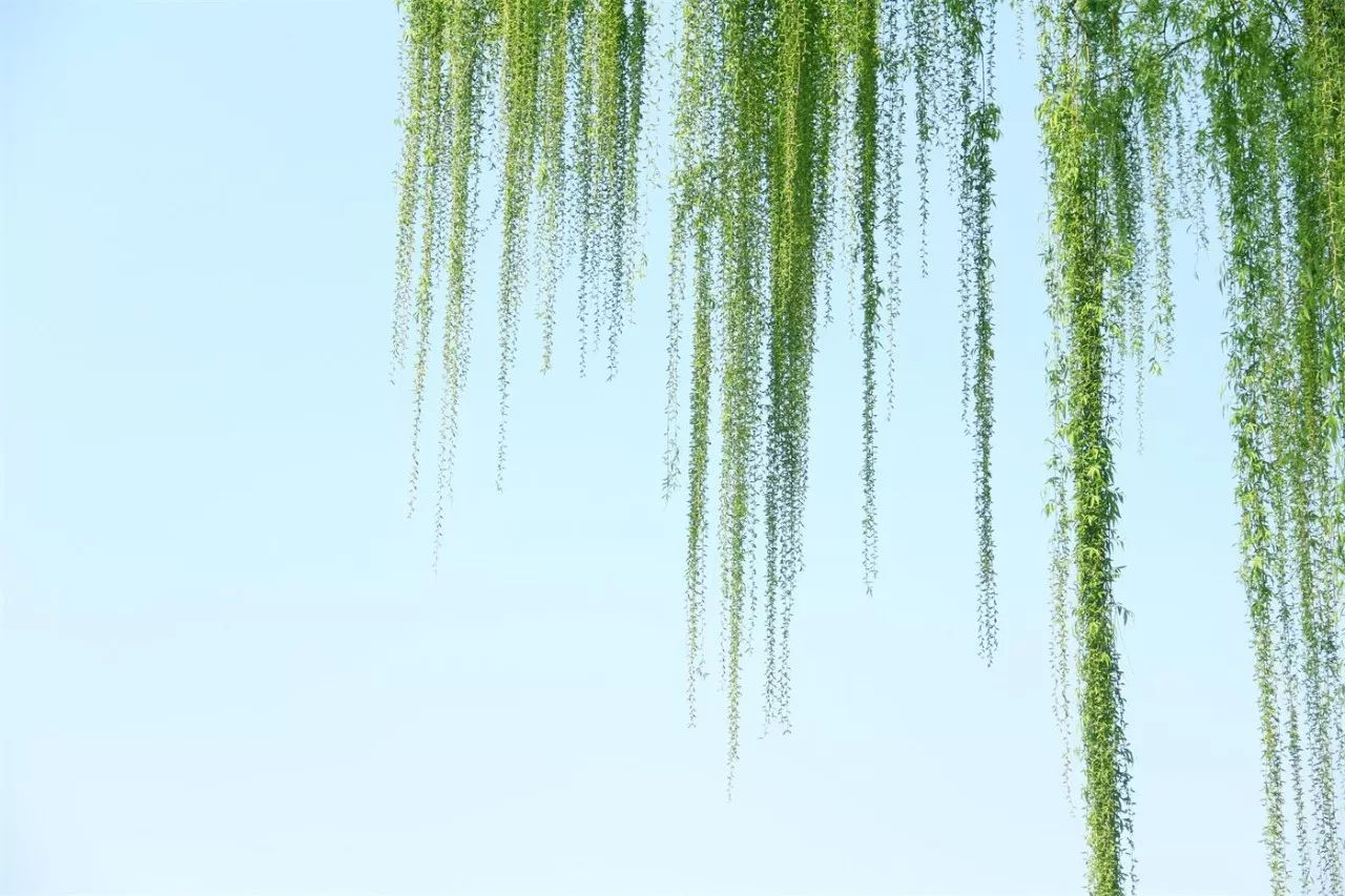 中香界·上海別院，萬水千山總是情！