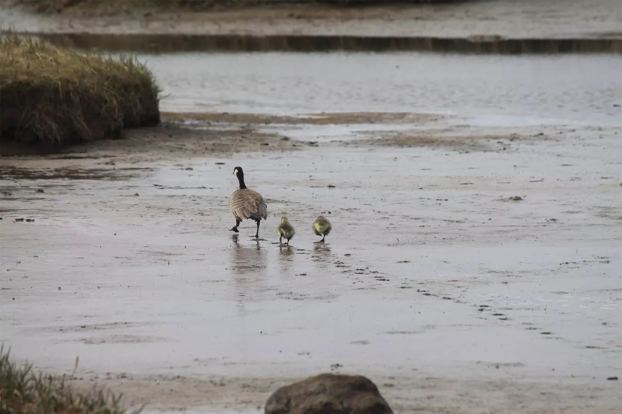 中香界·上海別院，萬水千山總是情！