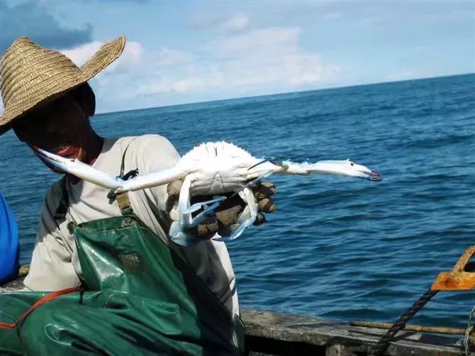 潿洲島·頤客潮宿，有一個夢面朝大海春暖花開