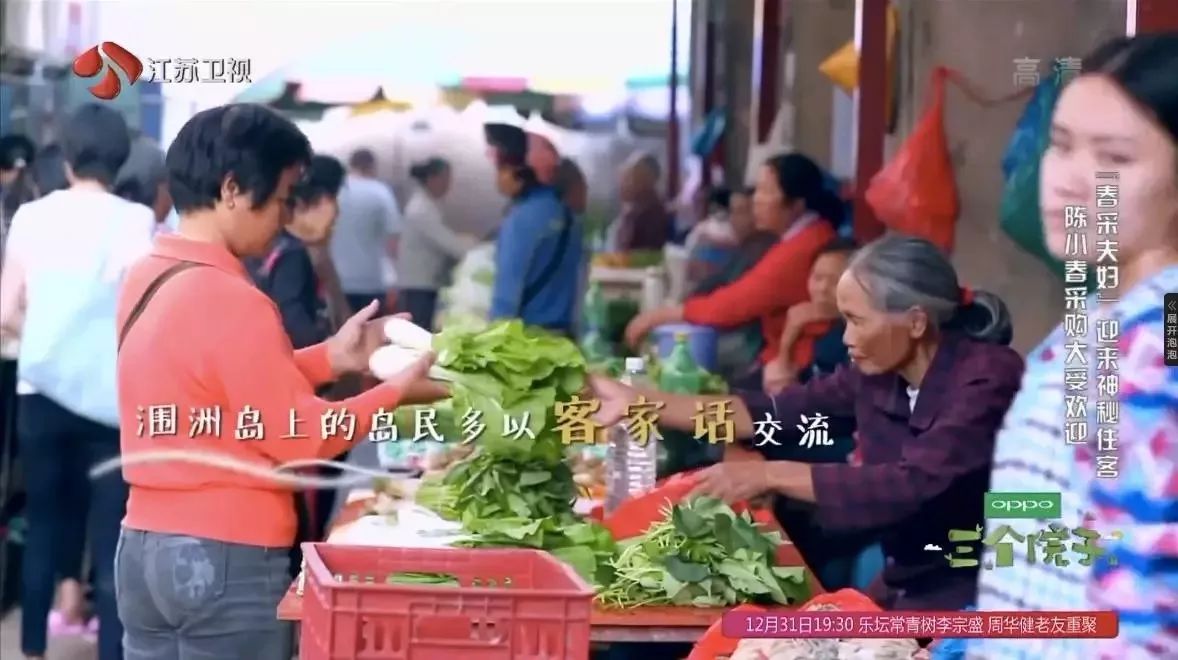 潿洲島·頤客潮宿，有一個(gè)夢(mèng)面朝大海春暖花開(kāi)