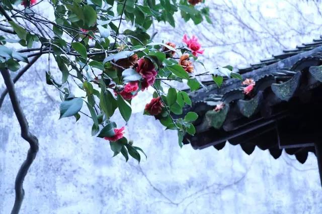 中國的四大名園，意想不到的風景園林美!