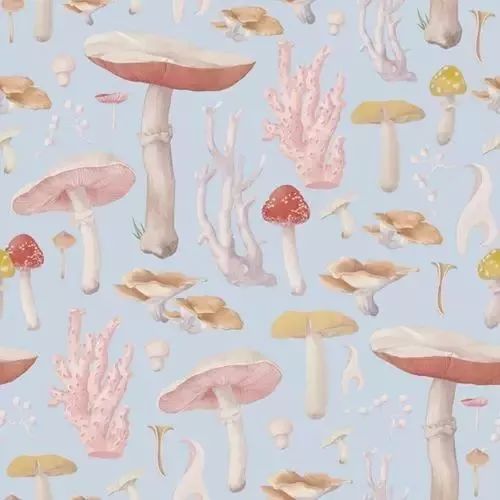 風(fēng)格獨(dú)特的插畫圖片，時(shí)尚清新色調(diào)手繪插畫