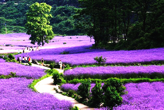 最美貴州風(fēng)景，用山水風(fēng)景點(diǎn)亮貴州文化！