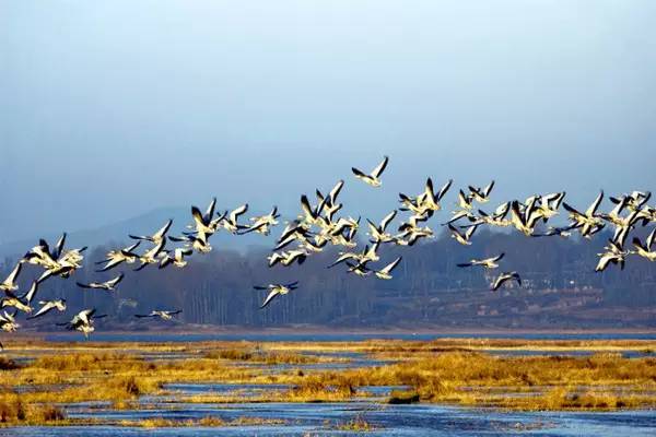 最美貴州風景，用山水風景點亮貴州文化！