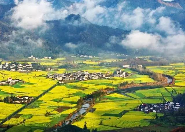 美到窒息的中國最美油菜花海，邂逅花海風(fēng)景！