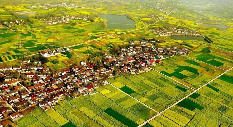 美到窒息的中國最美油菜花海，邂逅花海風景！