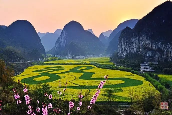 美到窒息的中國(guó)最美油菜花海，邂逅花海風(fēng)景！