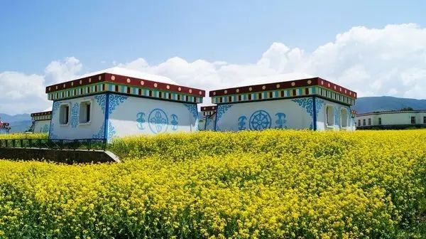 美到窒息的中國最美油菜花海，邂逅花海風景！