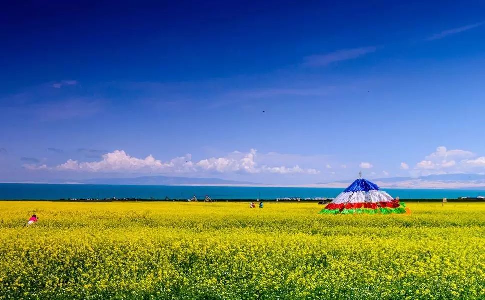 美到窒息的中國最美油菜花海，邂逅花海風景！
