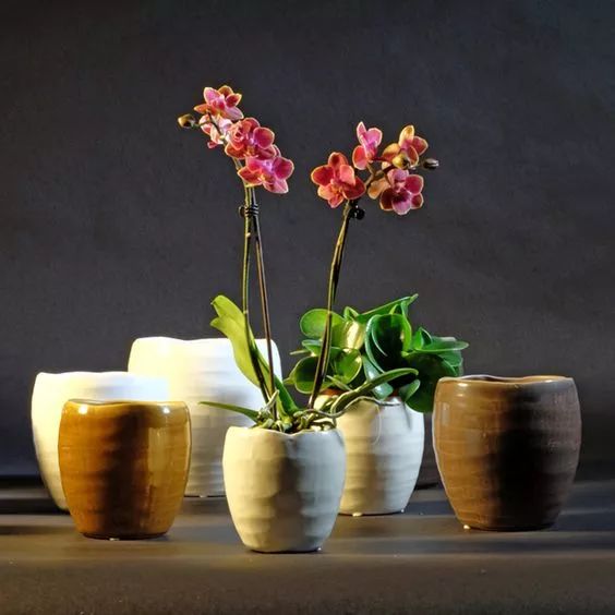 花香滿溢，唯美花藝設(shè)計(jì)！