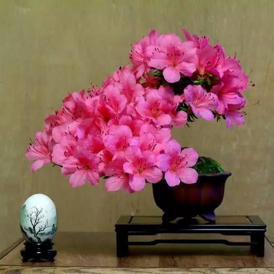 花香滿溢，唯美花藝設(shè)計(jì)！