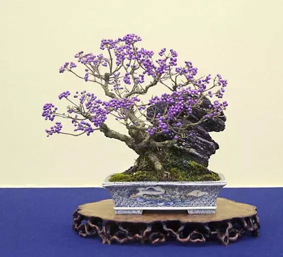 花香滿溢，唯美花藝設(shè)計(jì)！