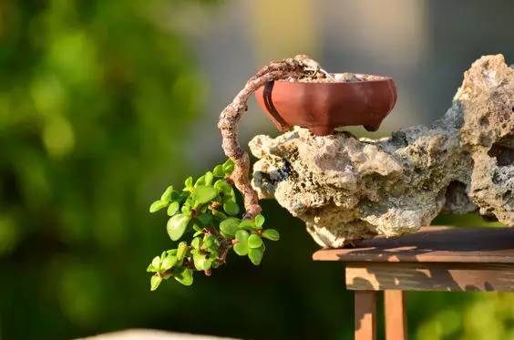 花香滿溢，唯美花藝設計！