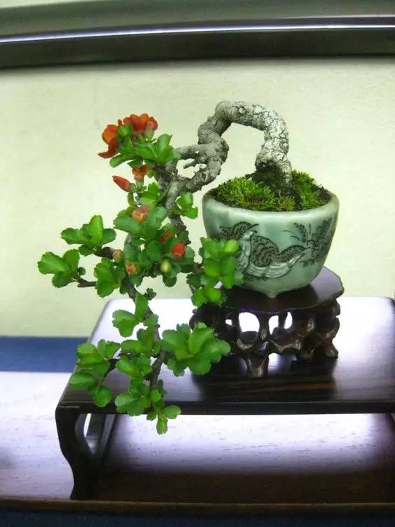 花香滿溢，唯美花藝設計！