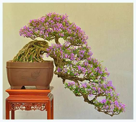 花香滿溢，唯美花藝設計！