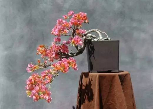 花香滿溢，唯美花藝設計！