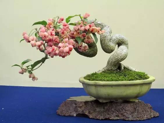 花香滿(mǎn)溢，唯美花藝設(shè)計(jì)！