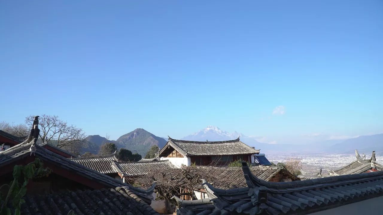 麗江·靈凈山舍，一花一木一世界！