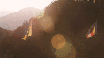 麗江·靈凈山舍，一花一木一世界！