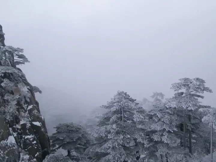 雪后黃山風景宛如人間仙境，舞一曲雪中霓裳羽