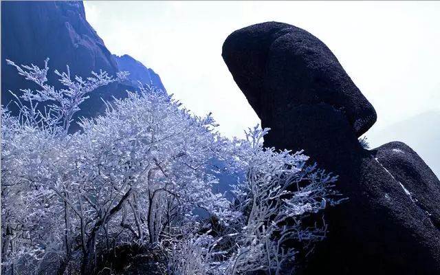 雪后黃山風(fēng)景宛如人間仙境，舞一曲雪中霓裳羽