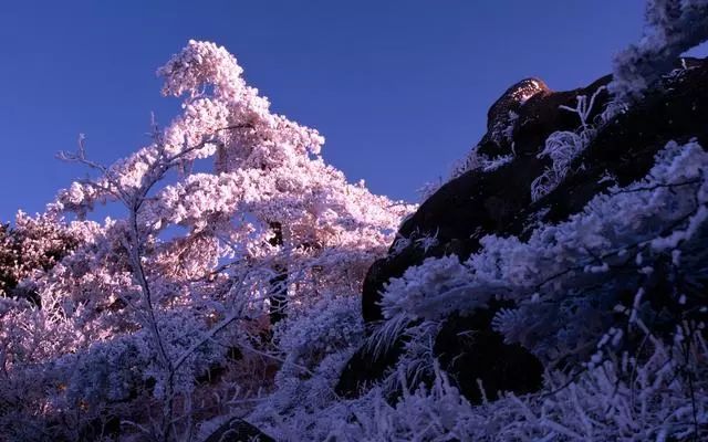 雪后黃山風(fēng)景宛如人間仙境，舞一曲雪中霓裳羽