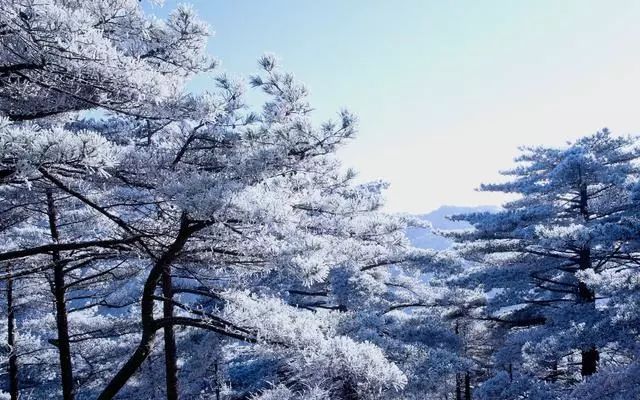 雪后黃山風(fēng)景宛如人間仙境，舞一曲雪中霓裳羽