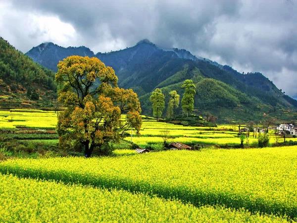 8處風(fēng)景如詩如畫，春天最值得去的地方！