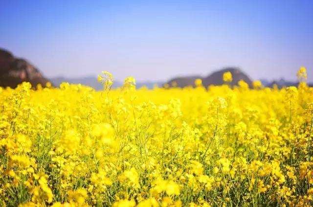 8處風(fēng)景如詩(shī)如畫，春天最值得去的地方！