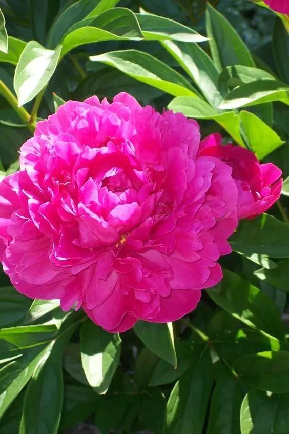 8處風(fēng)景如詩(shī)如畫，春天最值得去的地方！