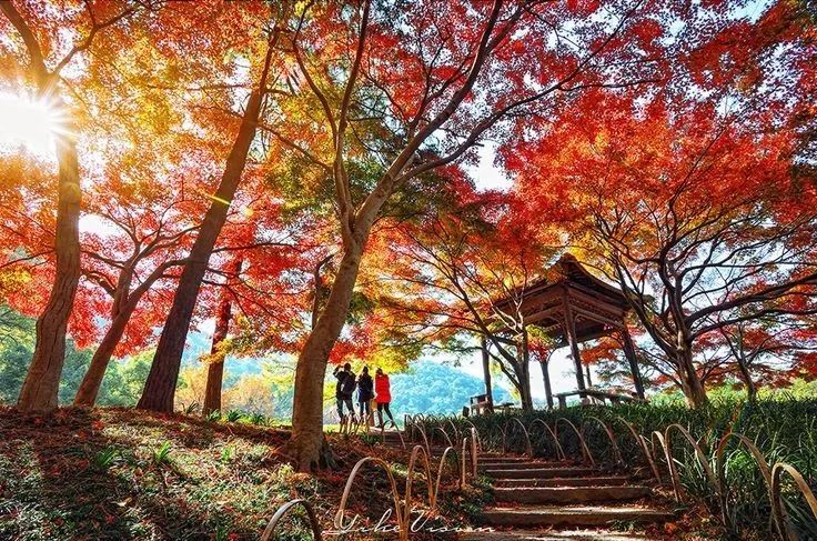 美呆了！祖國(guó)的秋色盡收眼底