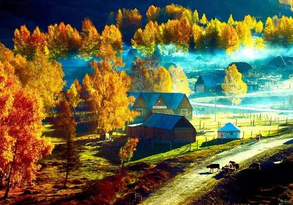 美呆了！祖國的秋色盡收眼底