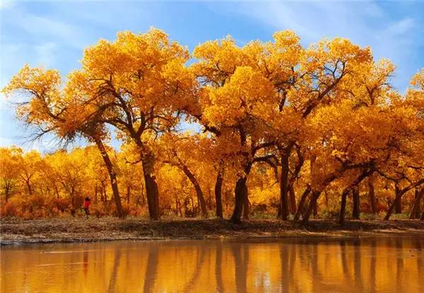 美呆了！祖國的秋色盡收眼底