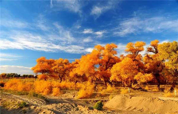 美呆了！祖國的秋色盡收眼底