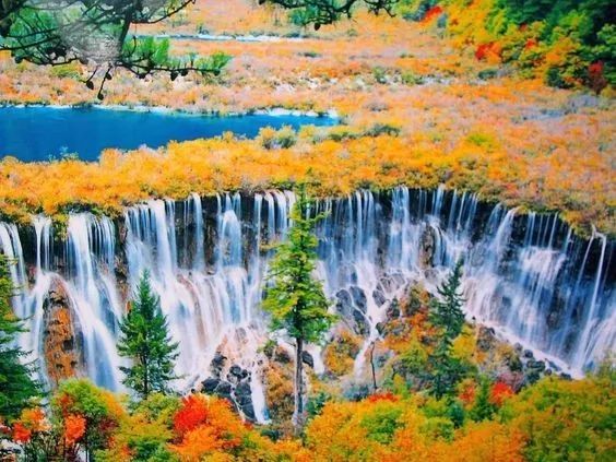 美呆了！祖國的秋色盡收眼底