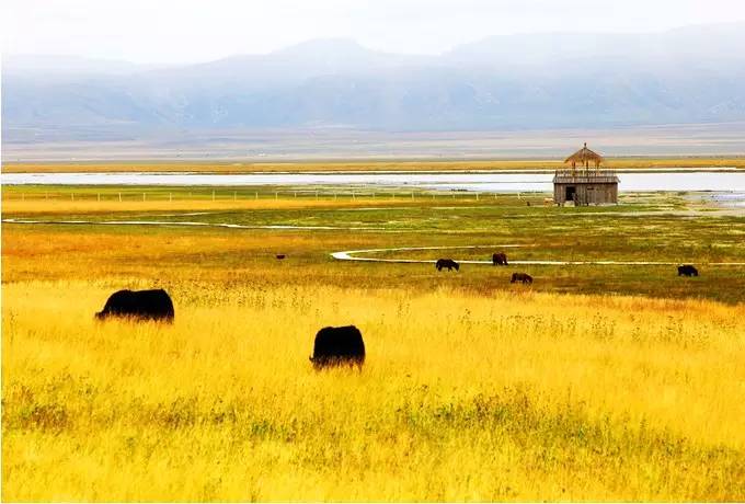 美呆了！祖國的秋色盡收眼底