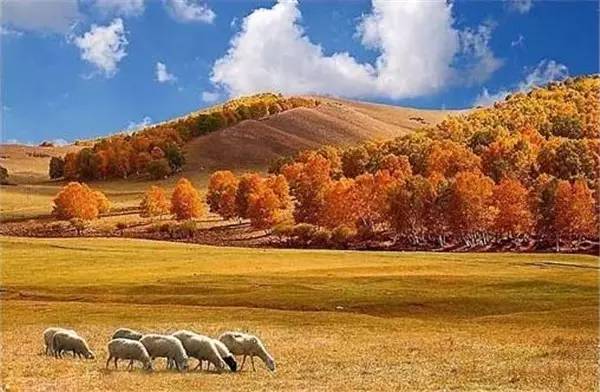 美呆了！祖國的秋色盡收眼底